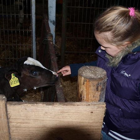 Ferienhaus Auf Dem Hof Wanna Eksteriør bilde